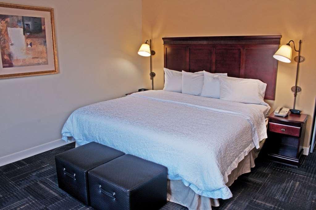 Hampton Inn & Suites Norfolk-Airport Værelse billede